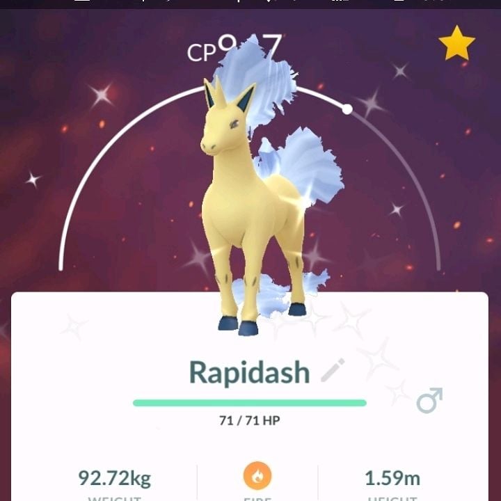 Shiny Rapidash in-game screen in Pokémon Go
