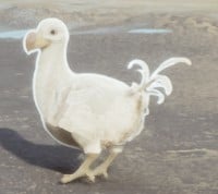 An image of a Shiny Diricawl from Hogwarts Legacy, which has a white coloring.