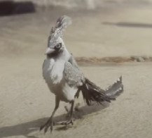 An image of a Shiny Jobberknoll from Hogwarts Legacy, which has white and silver feathers.