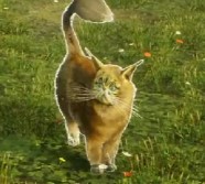 An image of a Shiny Kneazle from Hogwarts Legacy, which has gold fur.