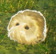 An image of a shiny Puffskein from Hogwarts Legacy, which has gold coloring.