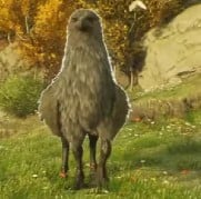 An image of a shiny Hippogriff from Hogwarts Legacy, which has black feathers.