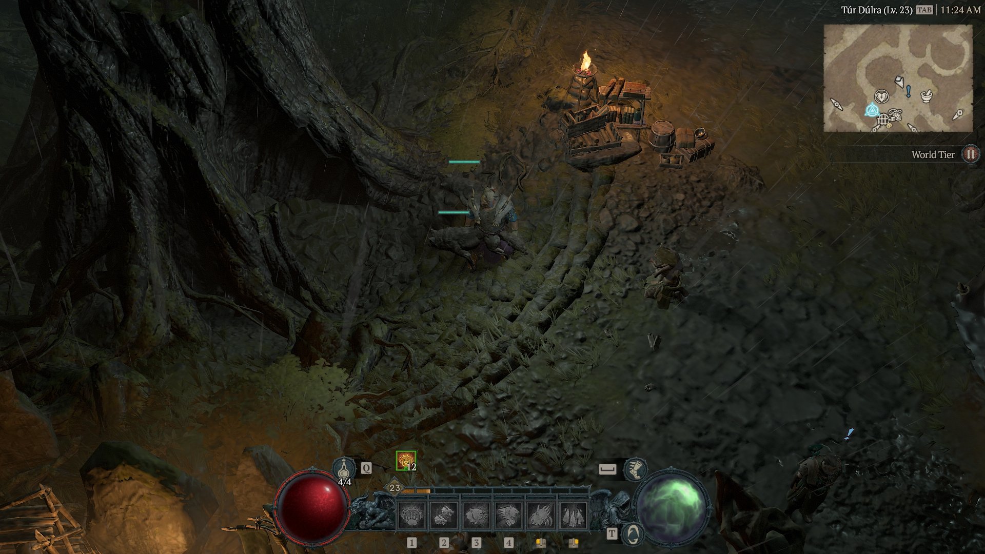 A Druid standing in front of the tree in Tur Dulra.