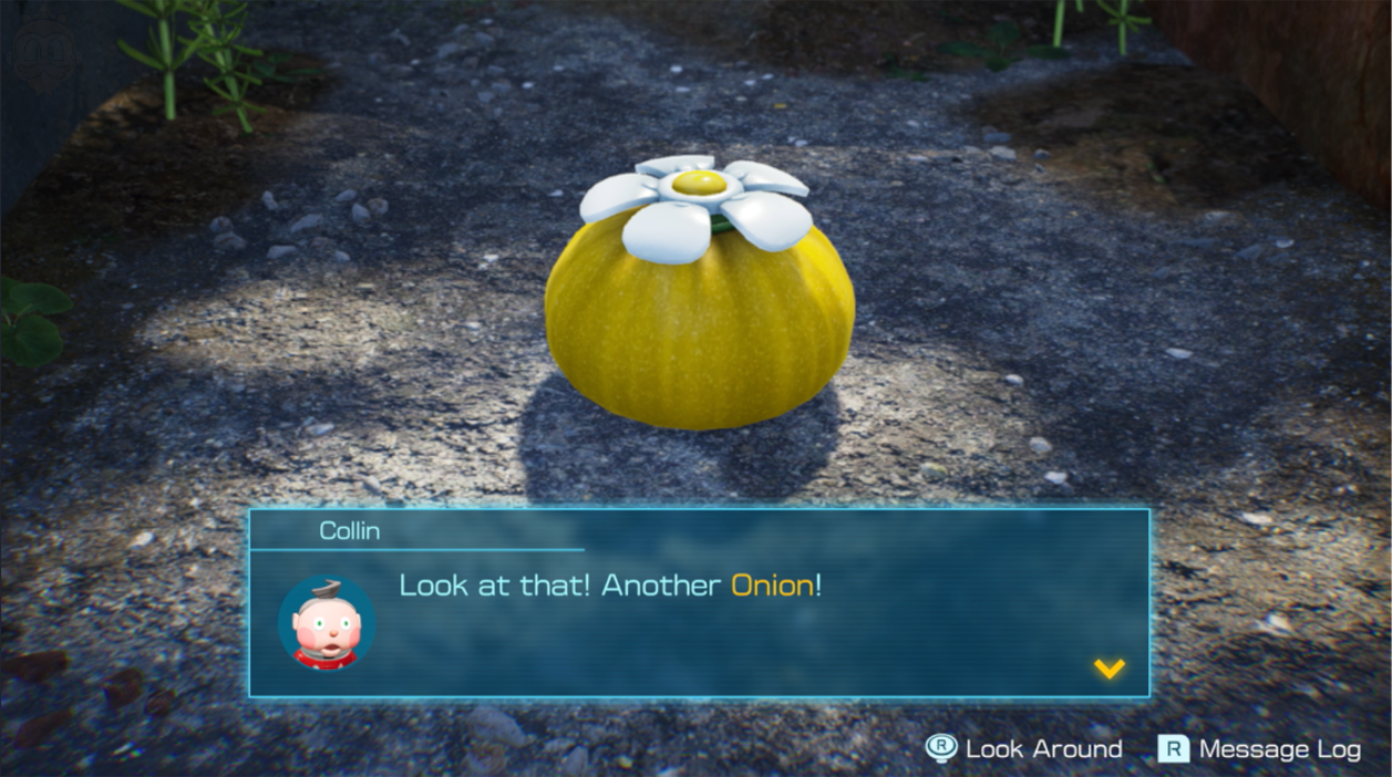 Yellow Pikmin Onlion is found in Pikmin 4