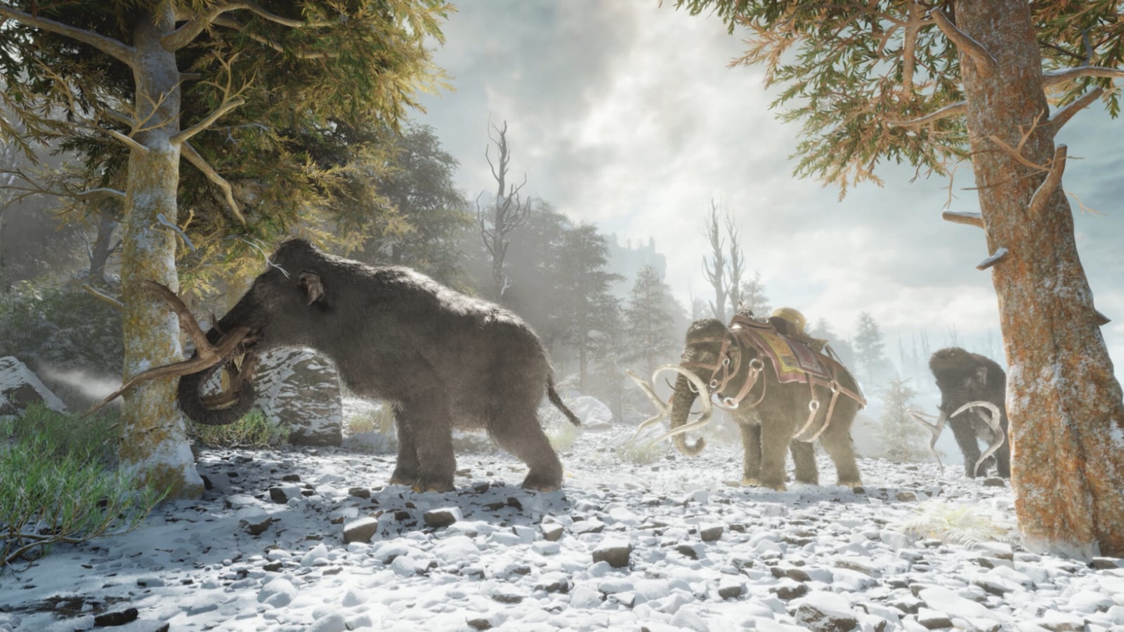 A herd of Mammoth walking around a snowy area.