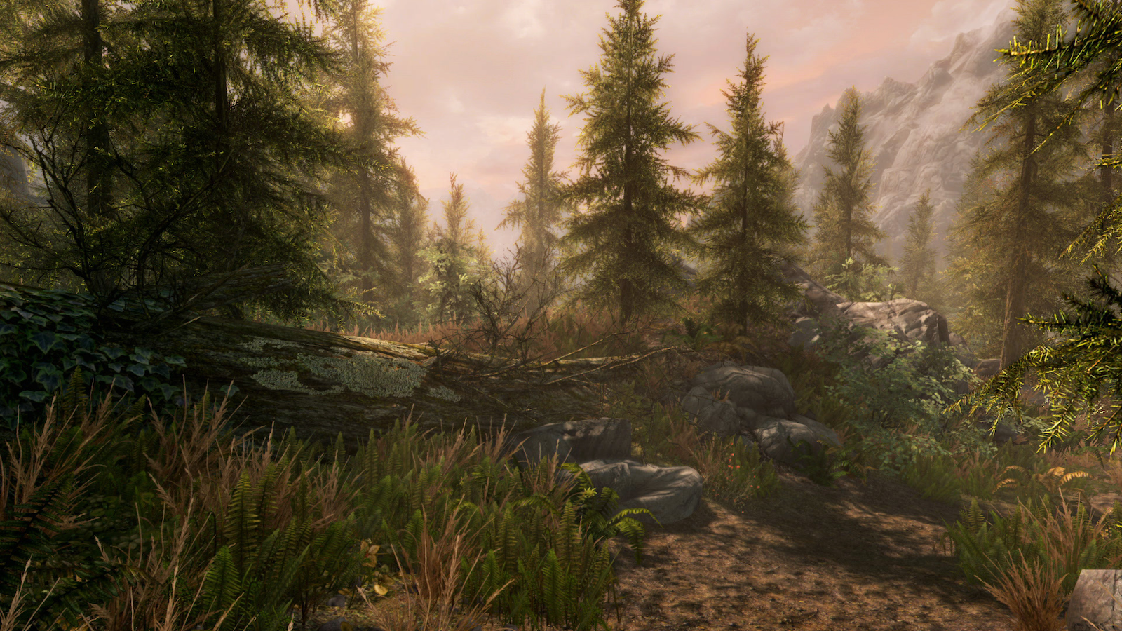 Skyrim special edition grass and trees