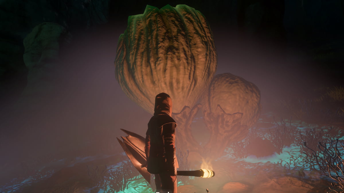 A person from Enshrouded standing in front of a Mint Mushroom.