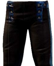 Dark leather trousers with three buttons on each side. These are the Magician Trousers from Enshrouded.