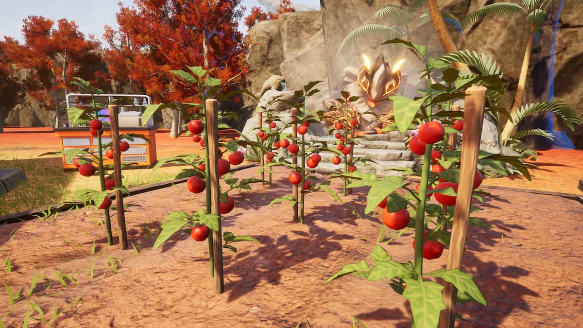 How to get Tomato Seeds in Palworld