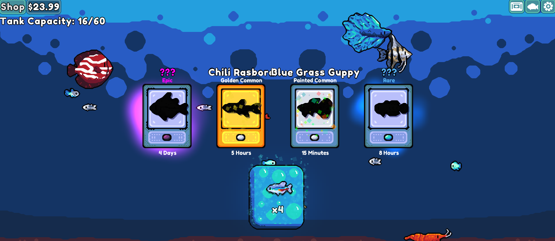 How to get free Golden and Rainbow fish in Chillquarium