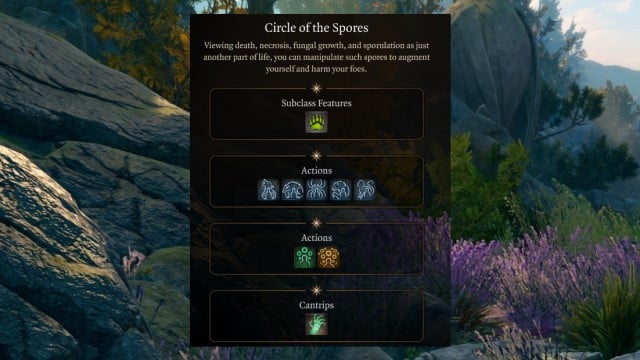 The UI selection for Circle of the Spores is shown on the BG3 level up screen, showcasing several level 2 class features.
