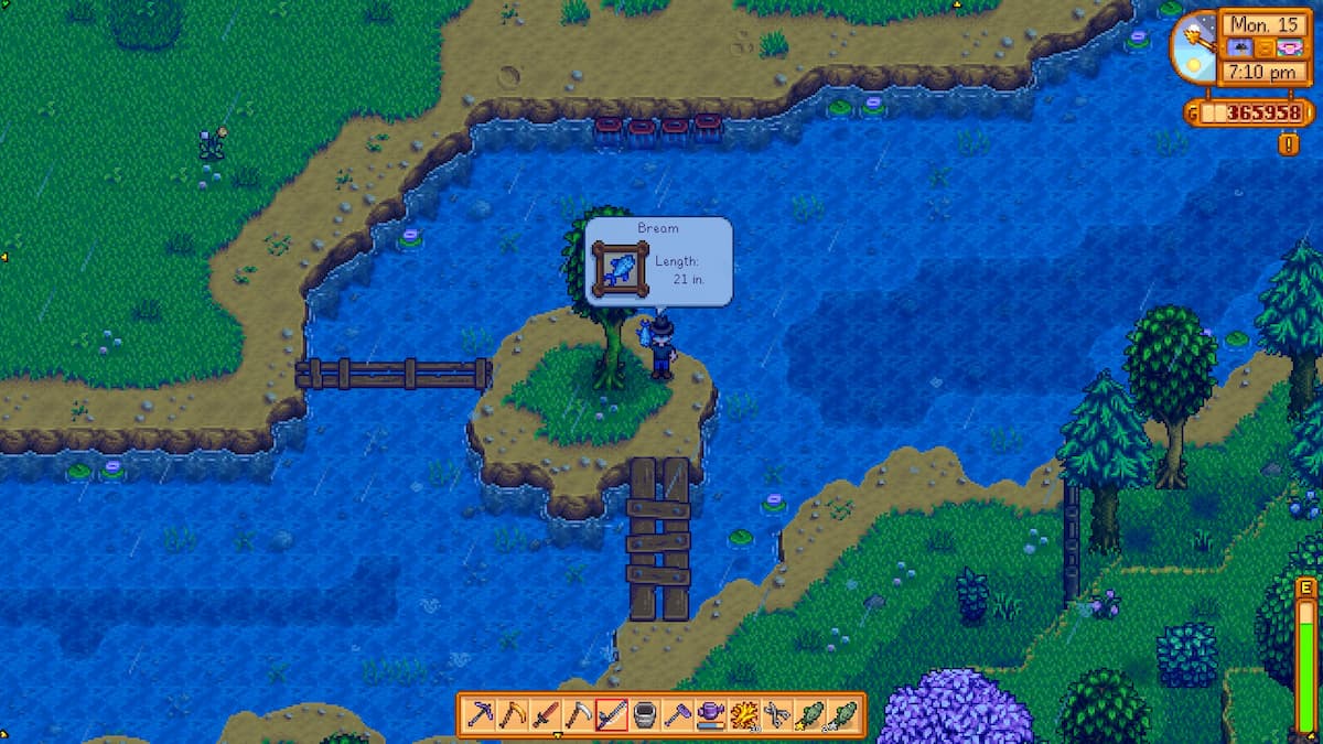 Character is holding a Bream in Cindersap Forest