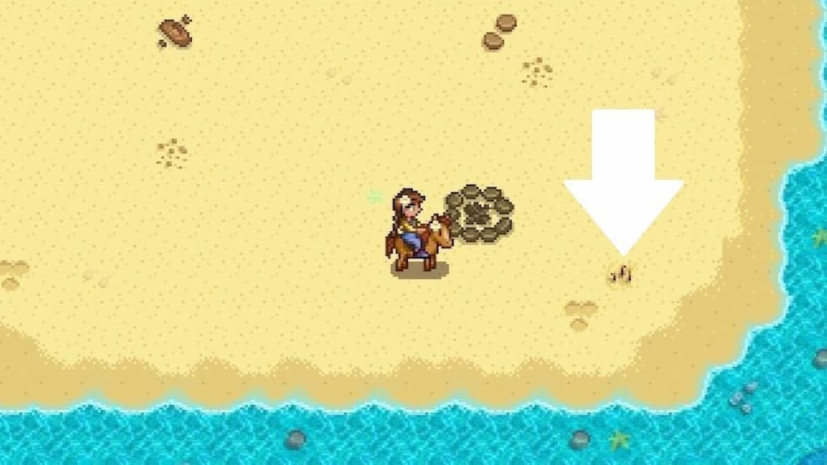 An Artifact Spot marked in Stardew Valley.