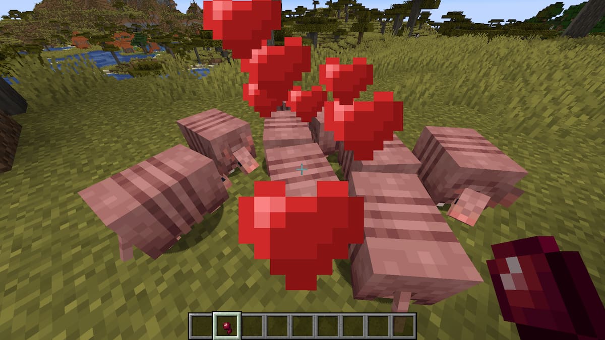 Feeding Armadillos a Spider Eye in Minecraft.