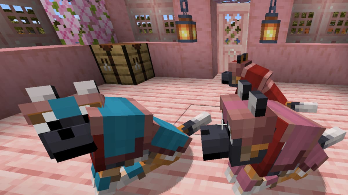 Some Wolves sitting while wearing Wolf Armor in Minecraft.