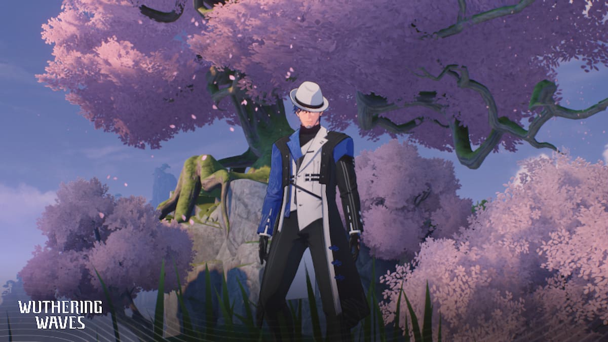 Picture of Yuanwu in Wuthering Waves.