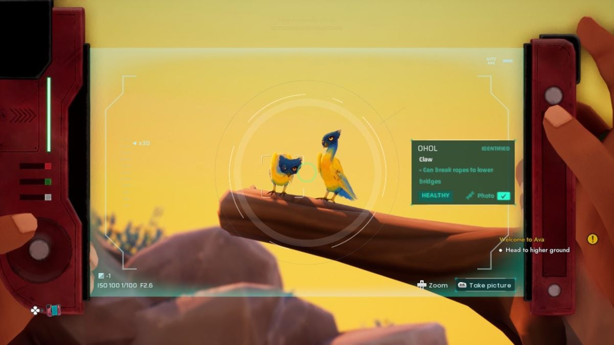 Two Ohol sitting on a wide branch with rocky formation in background