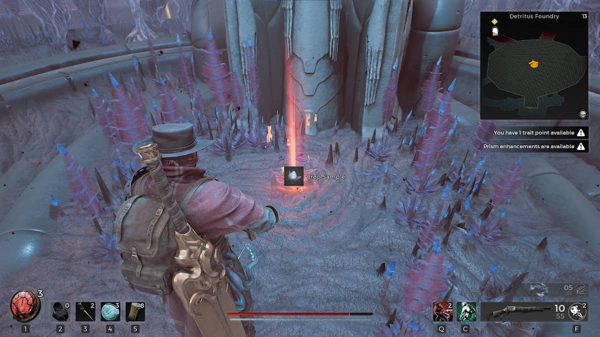 picking up a crop sample in remant 2