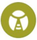 Bug pokemon type symbol