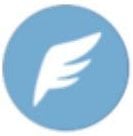 Flying pokemon type symbol