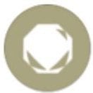 Rock pokemon type symbol