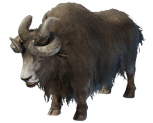 A dark brown yak with four horns from Enshrouded.