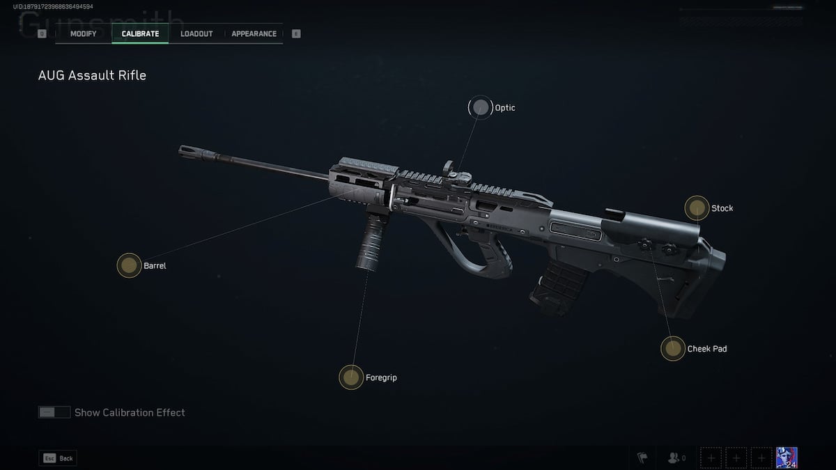 AUG calibration screen in Delta Force