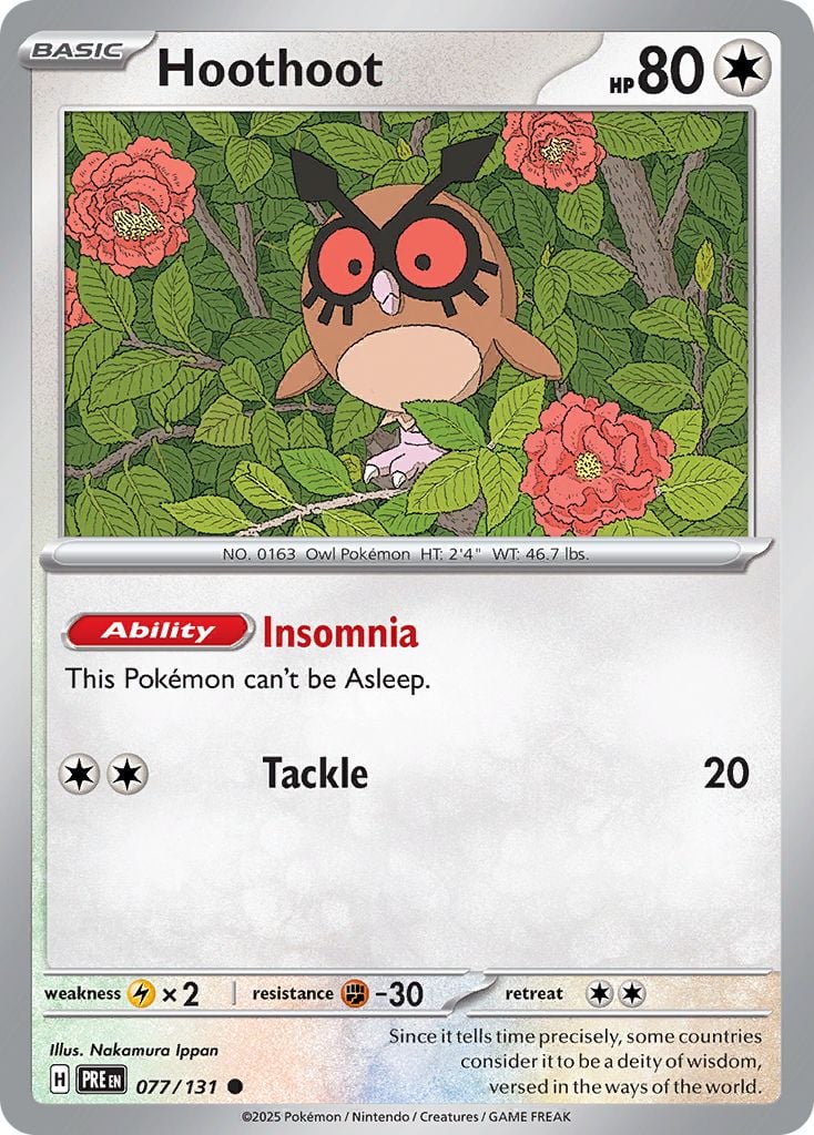 Hoothoot Pokémon card.
