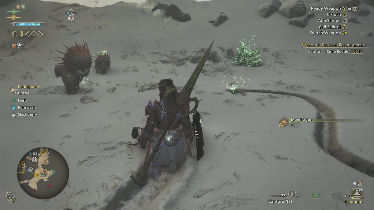 Catching a Rime Beetle in Monster Hunter Wilds