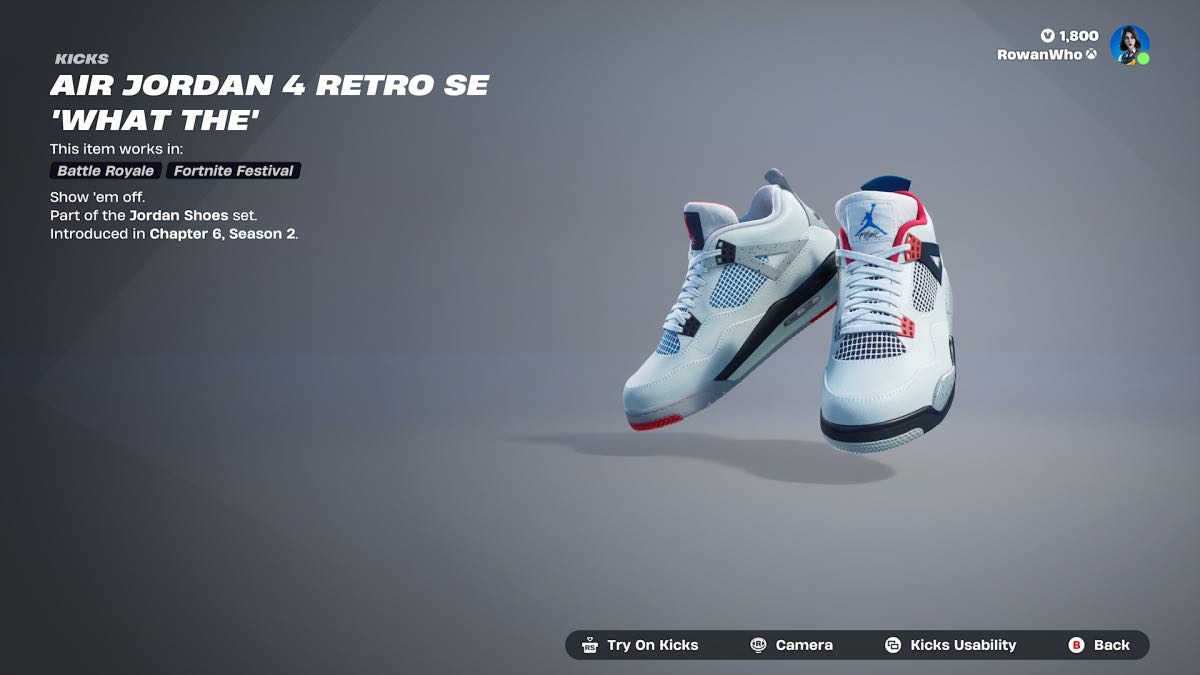 Air Jordan 4 Retro SE ‘What The’