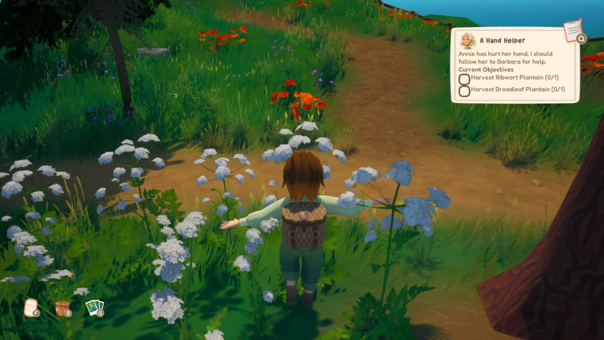 Exploring in Out and About.