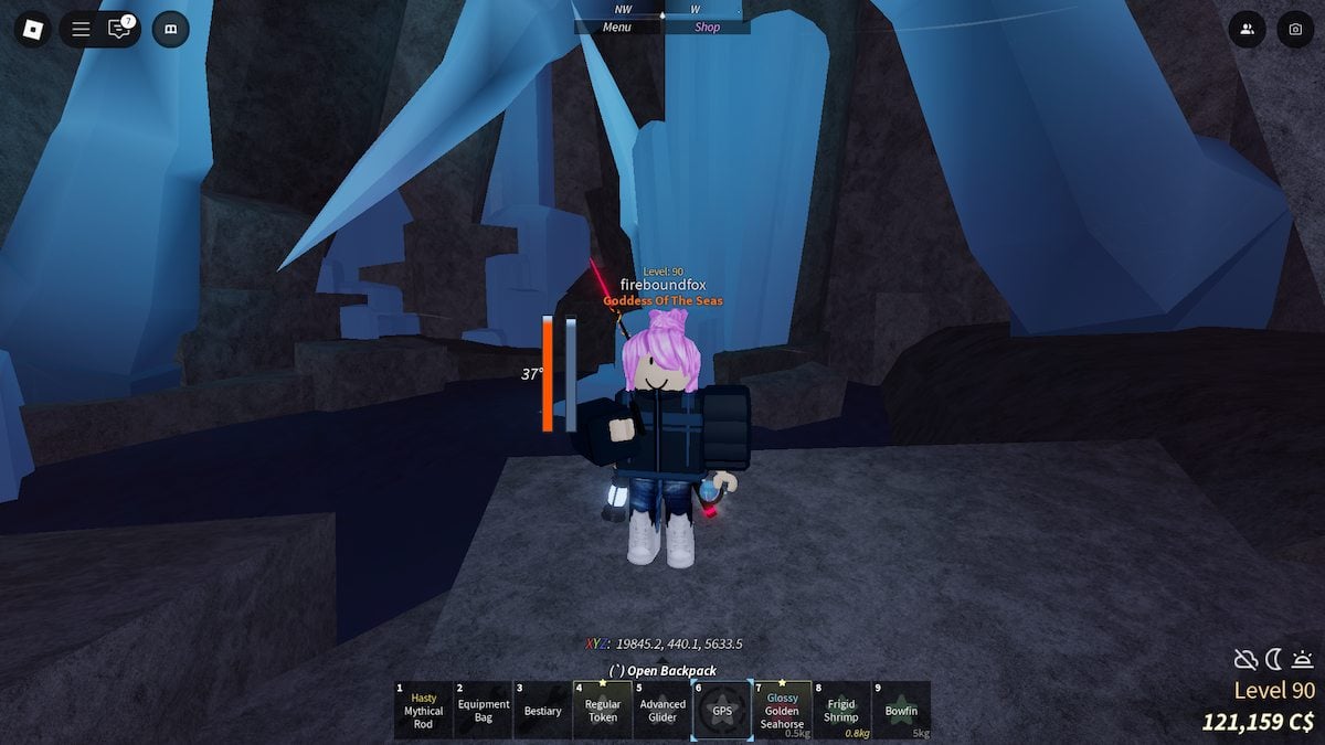Roblox player standing in the Frigid Cavern in Fisch.