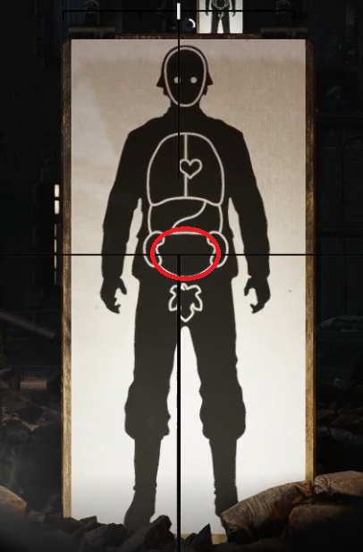Intestine shot in Sniper Elite Resistance's Shooting Range