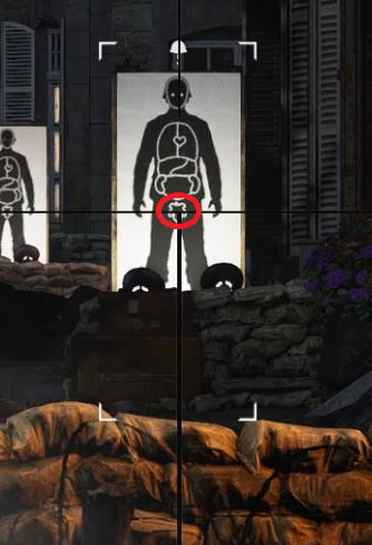 Testicle shot in Sniper Elite Resistance's Shooting Range
