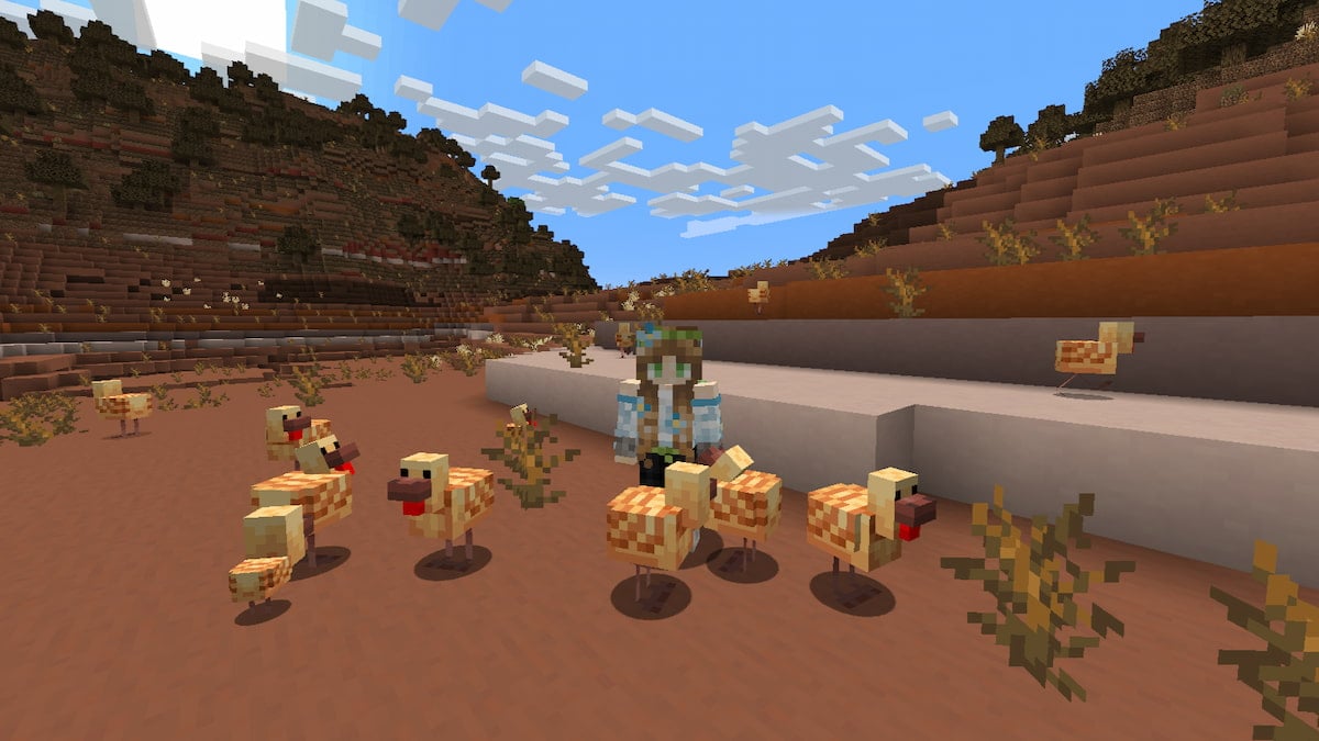 A flock of warm chickens gathered around the player in the badlands biome in minecraft