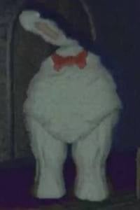 Bowtie full body close up shot in R.E.P.O.