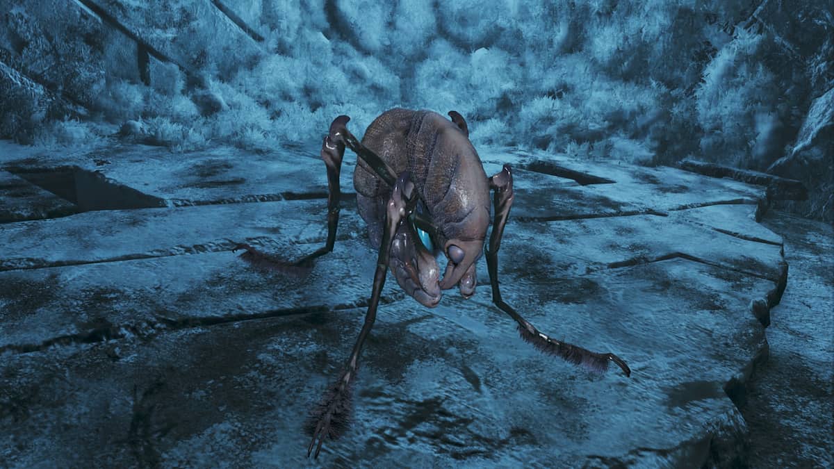 Comaqchi, an insect with a shrimp-like body and fuzzy forelegs in an icy climate in Monster Hunter Wilds.