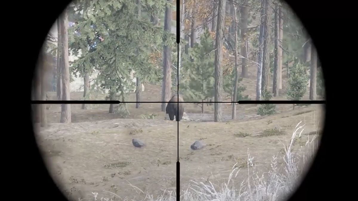 a crosshair on a bear