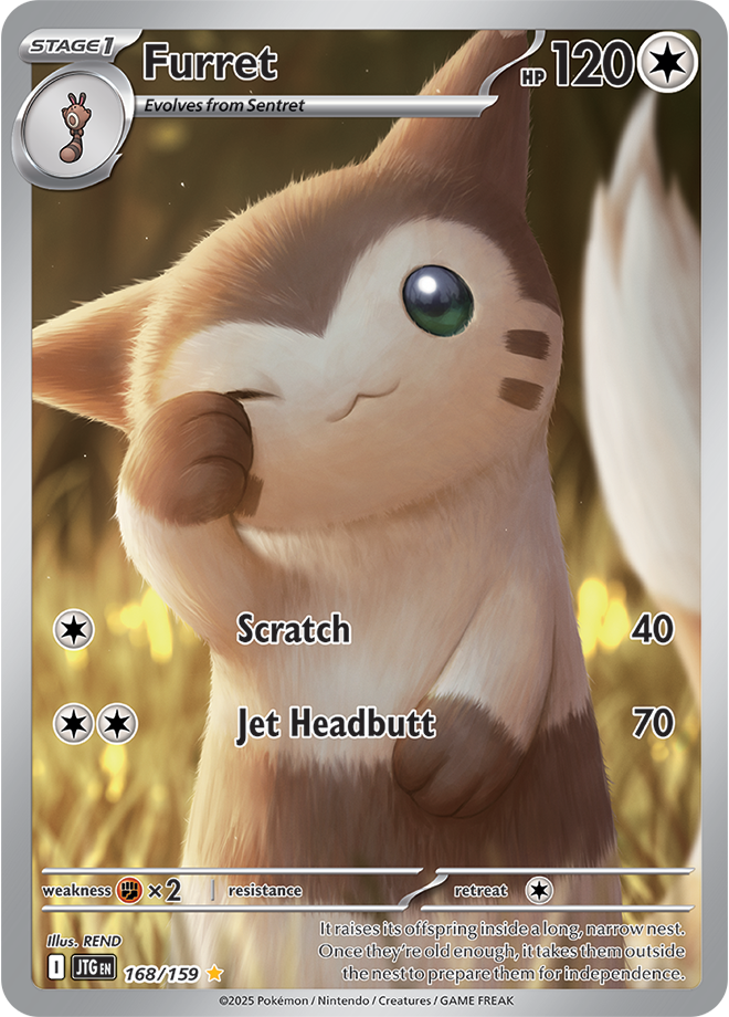 Furret Pokémon card.