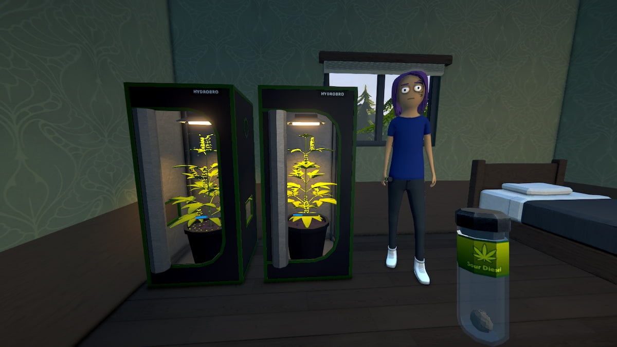 Picture showing the player carrying sour diesel seed in his hand in Schedule 1.