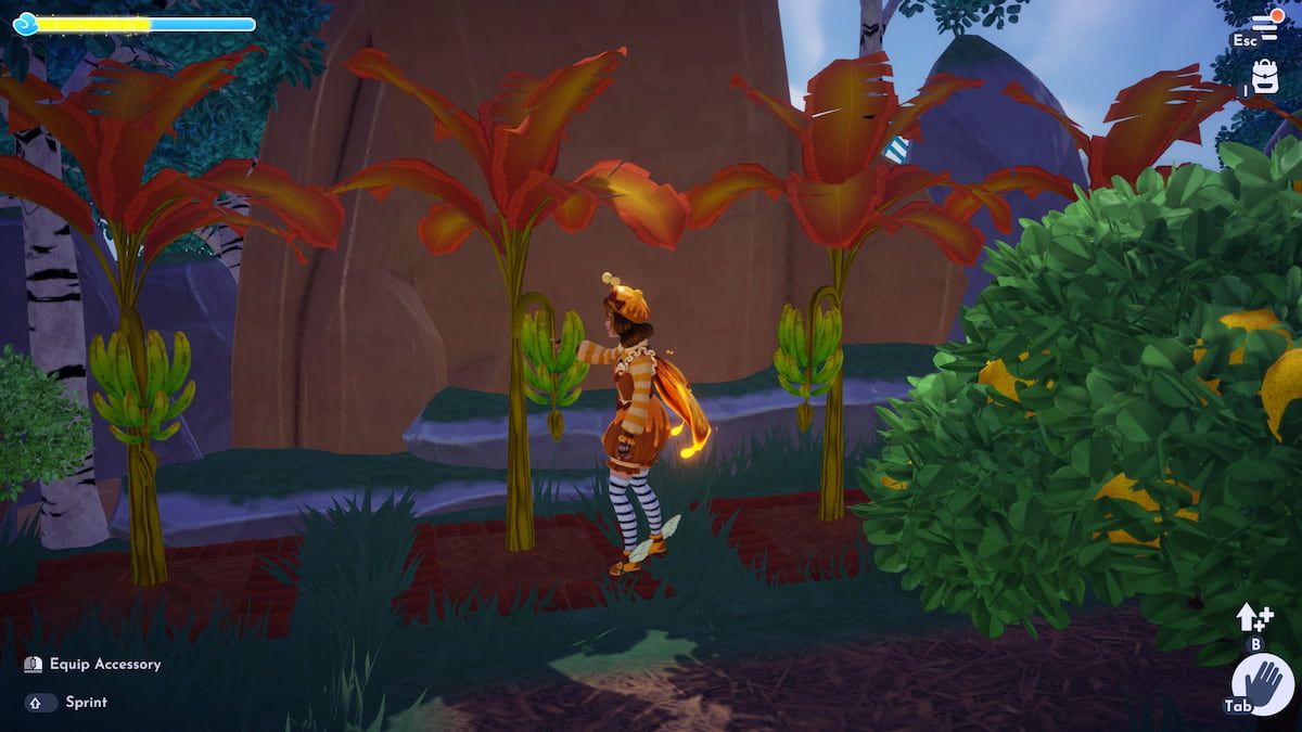 A player dressed as a bee harvesting bananas from a tree in Disney Dreamlight Valley.