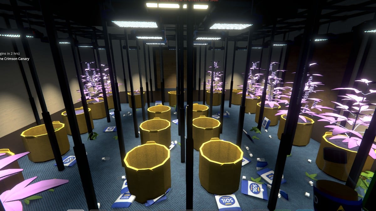 a room full of pink plants