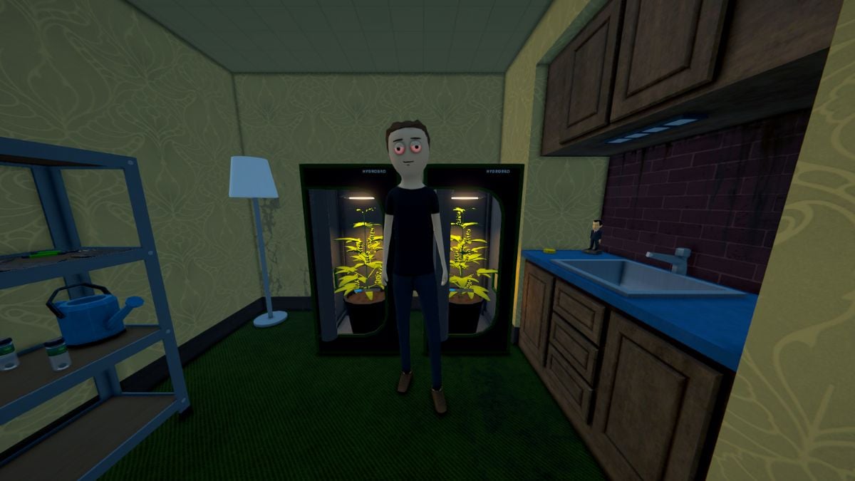 A player wearing a black shirt, jeans, and leather shoes in front of two marijuana plants.