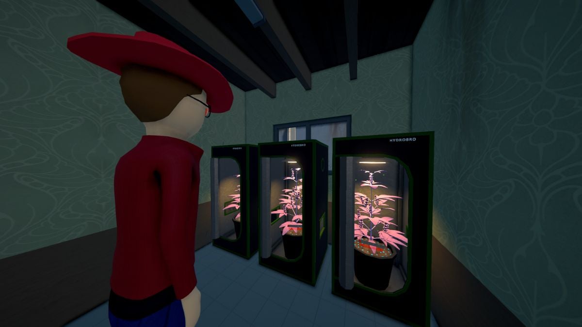 A player admiring his handiwork in Schedule 1.