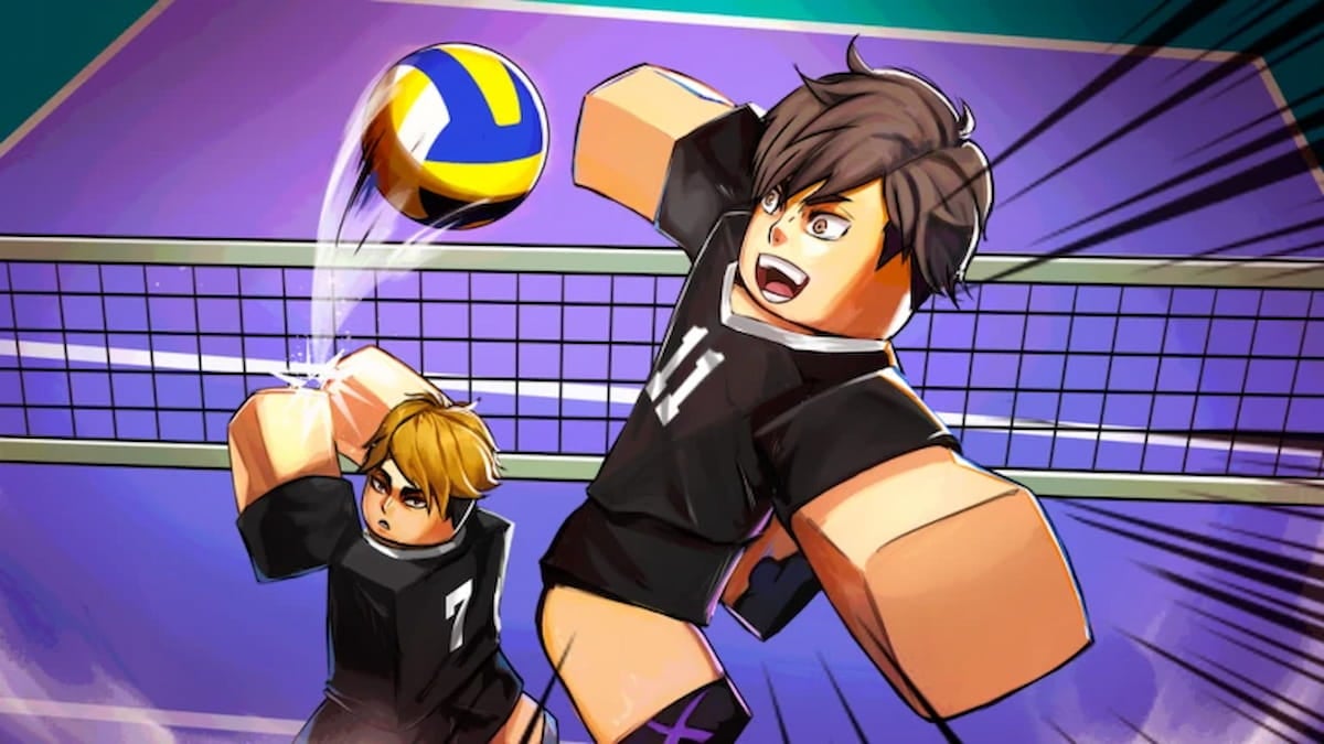 Picture showing the Vollyball Legends game cover,