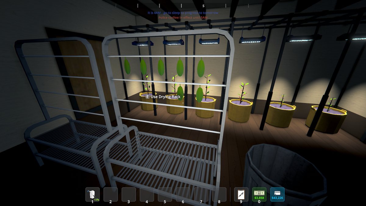 Coca leaves on drying racks in Schedule 1.