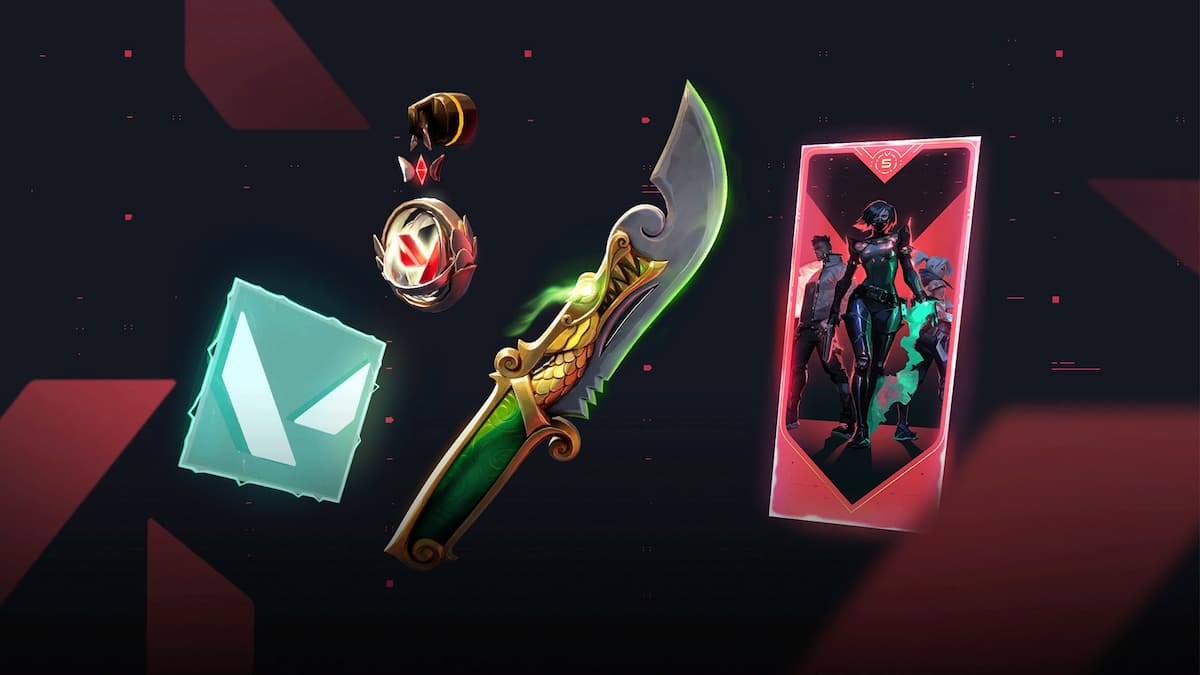 5 Year // Beta Remastered bundle VALORANT