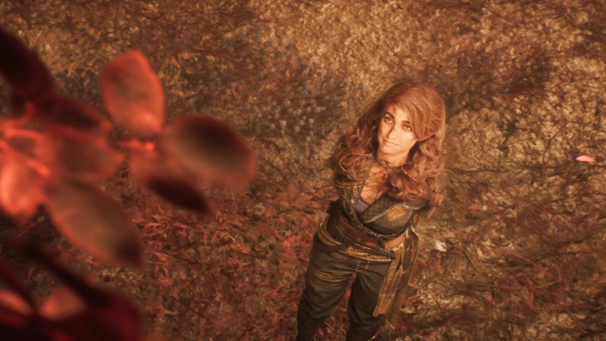 Sciel looking up at a tree at dusk