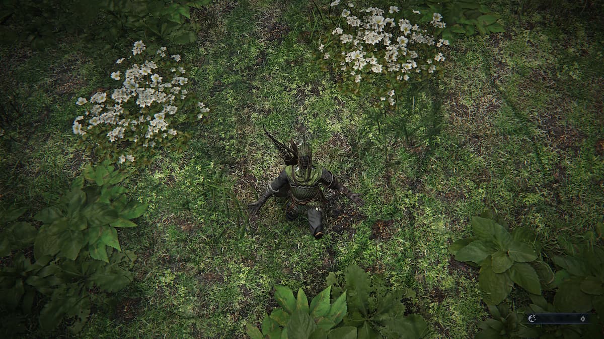 Elden Ring Nightreign Emote