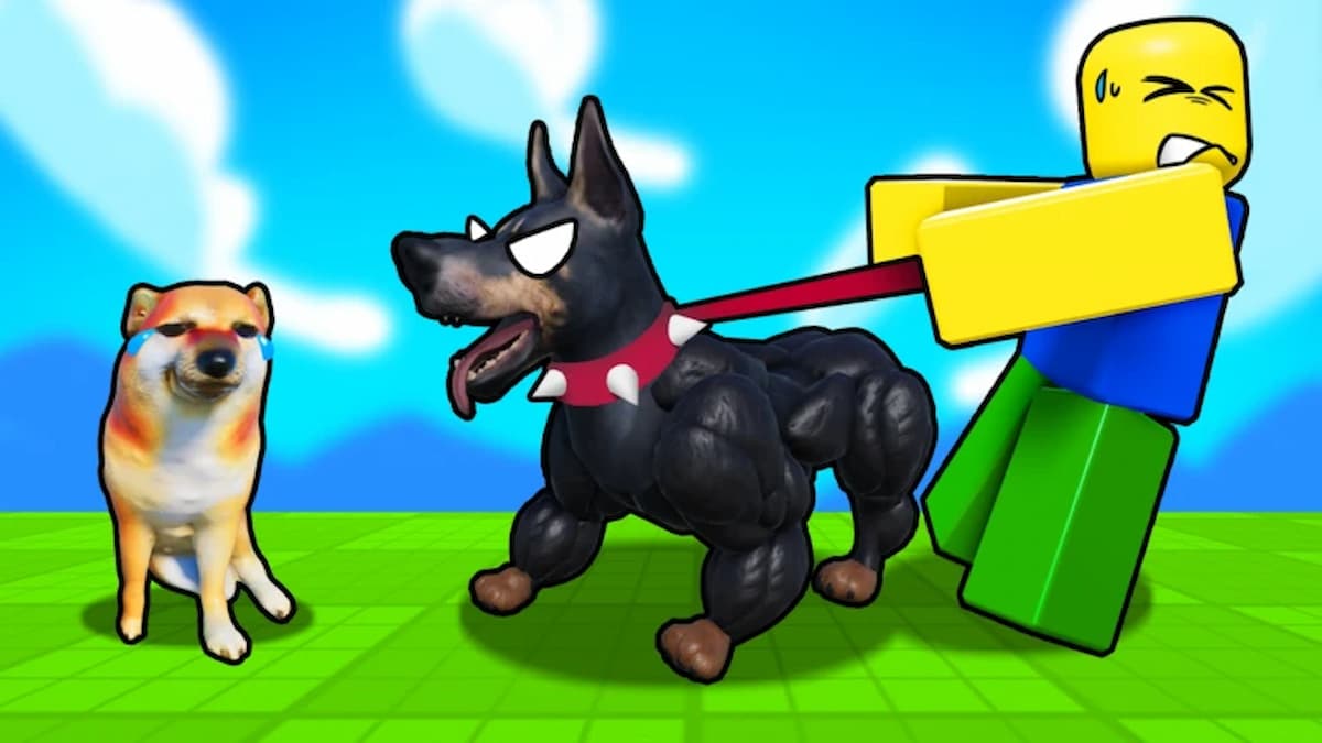 Train Dog To Fight artwork with two dogs and a Noob avatar